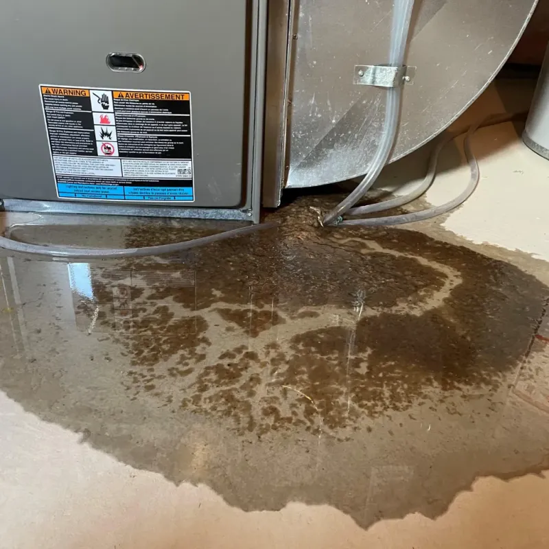 Appliance Leak Cleanup in Pahrump, NV